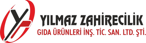 Footer Logo